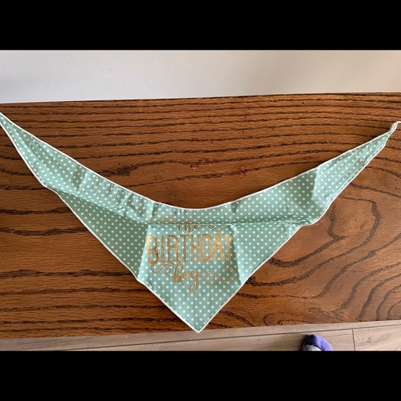 🎉Host Pick🎉 The Birthday Boy Neck Bandana by Tail Trends for your sweet dog - Picture 2 of 3